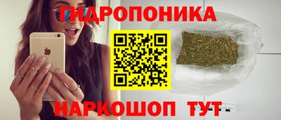 индика Краснознаменск
