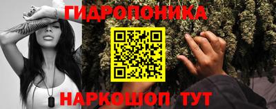 индика Краснознаменск